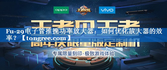 Fu-29电子管推挽功率放大器:如何优化放大器的效率? Fu-29电子管推挽功率放大器:如何优化放大器的效率?