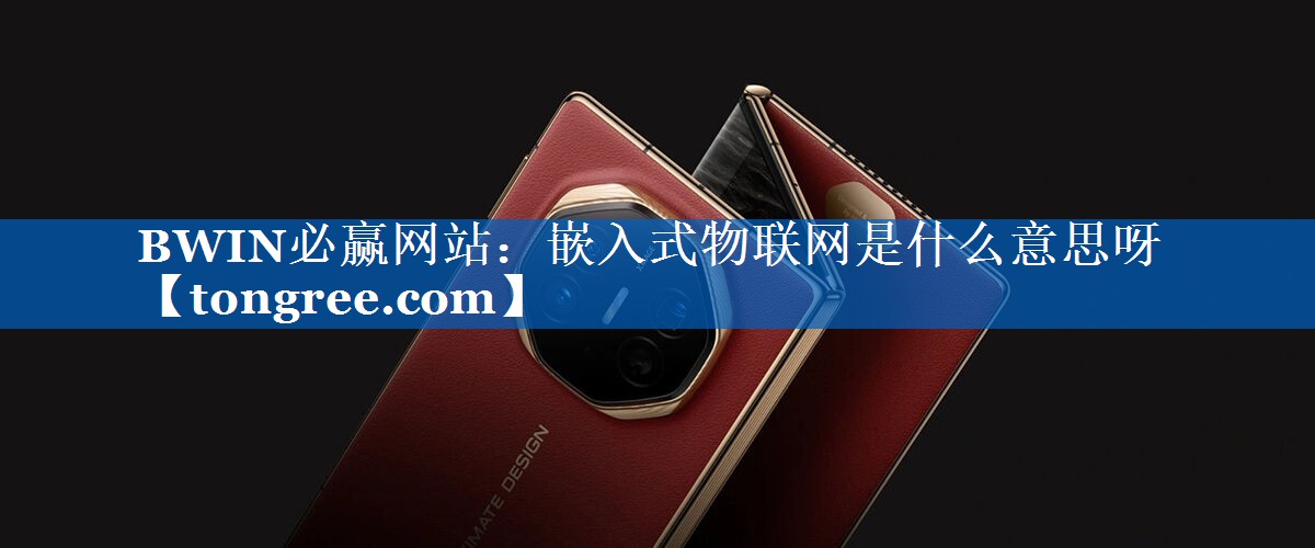 嵌入式物联网是什么意思呀