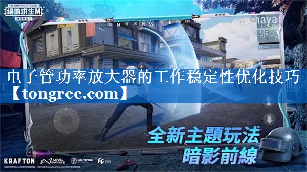 电子管功率放大器的工作稳定性优化技巧 电子管功率放大器的工作稳定性优化技巧