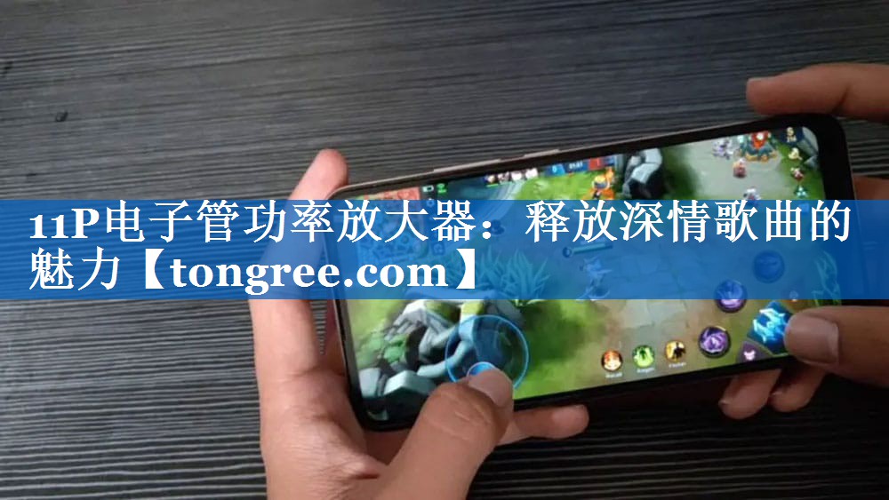 11P电子管功率放大器:释放深情歌曲的魅力 11P电子管功率放大器:释放深情歌曲的魅力