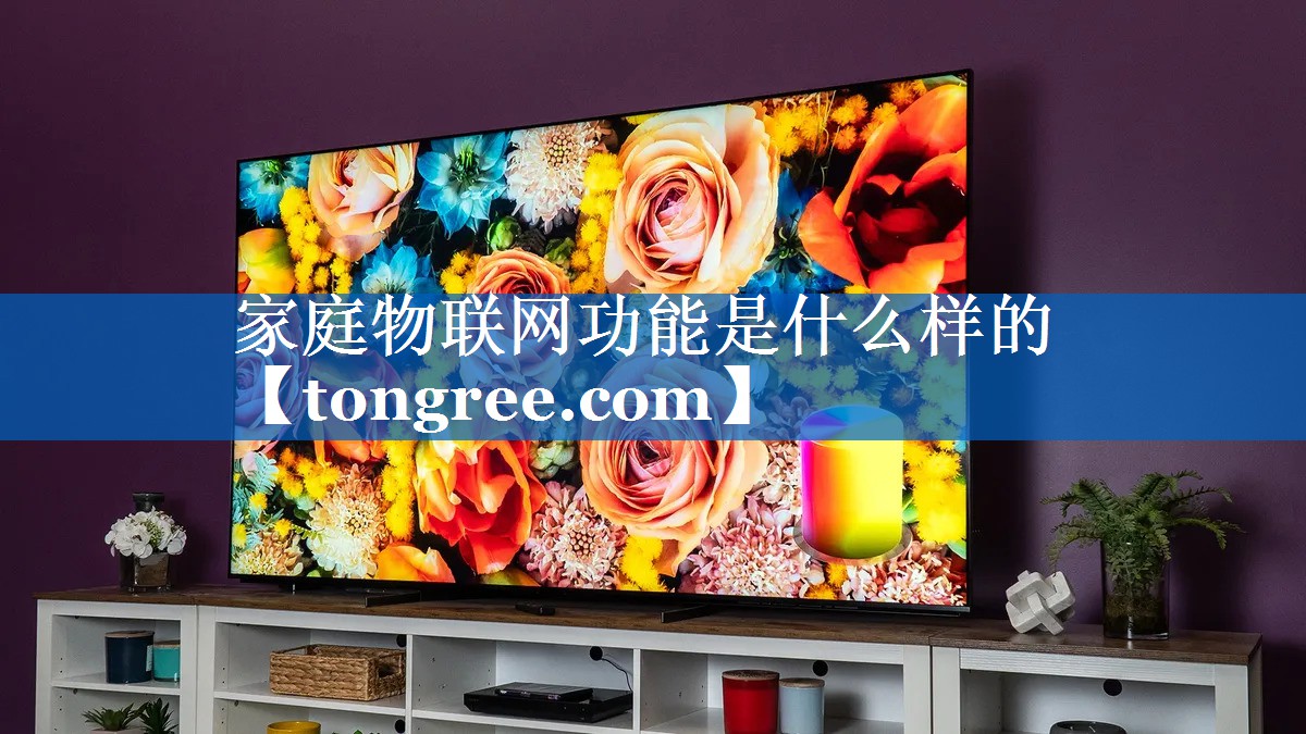 家庭物联网功能是什么样的 家庭物联网功能是什么样的