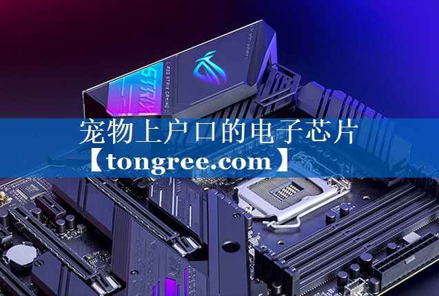 宠物上户口的电子芯片 宠物上户口的电子芯片