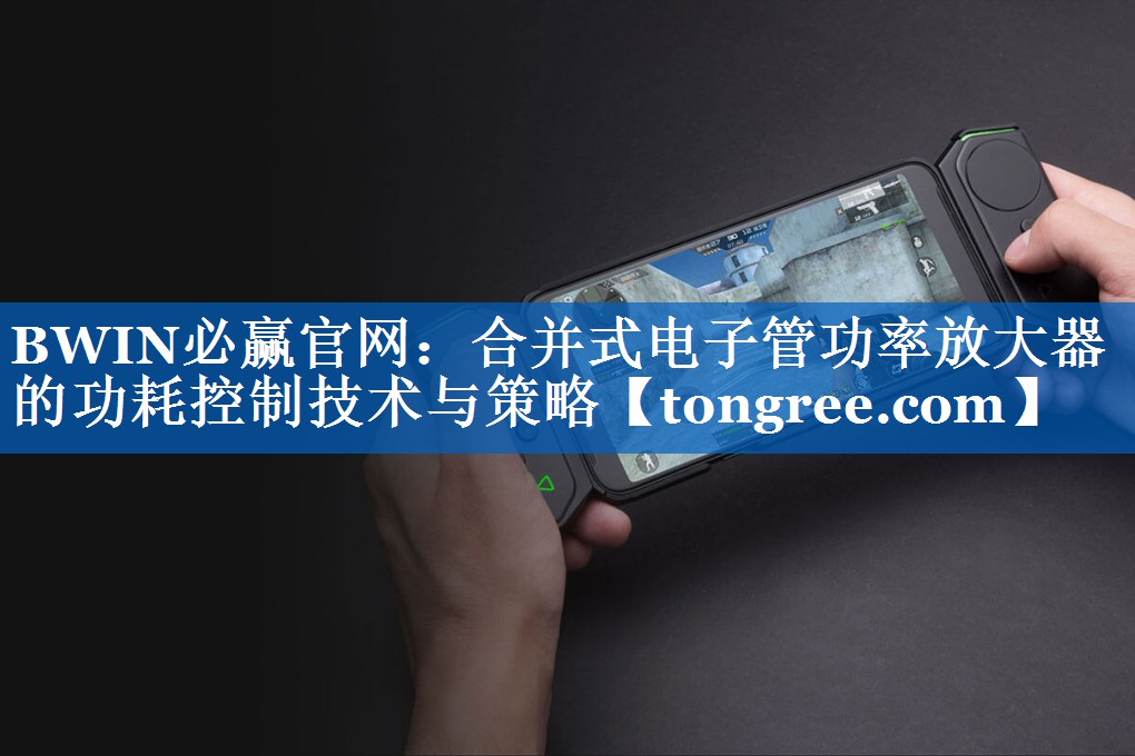 合并式电子管功率放大器的功耗控制技术与策略 合并式电子管功率放大器的功耗控制技术与策略