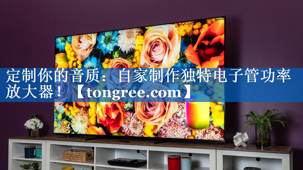 定制你的音质:自家制作独特电子管功率放大器! 定制你的音质:自家制作独特电子管功率放大器!