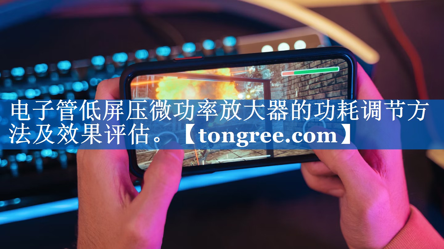 电子管低屏压微功率放大器的功耗调节方法及效果评估。 电子管低屏压微功率放大器的功耗调节方法及效果评估。