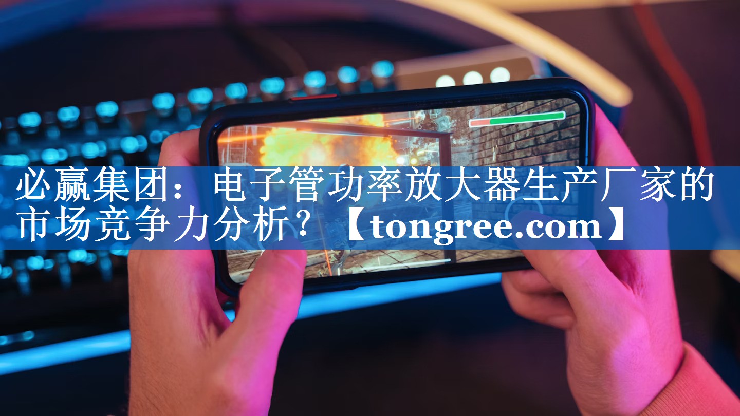 电子管功率放大器生产厂家的市场竞争力分析? 电子管功率放大器生产厂家的市场竞争力分析?