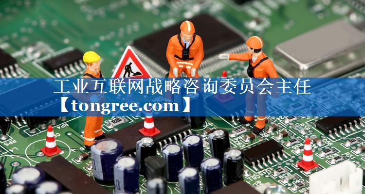 工业互联网战略咨询委员会主任 工业互联网战略咨询委员会主任