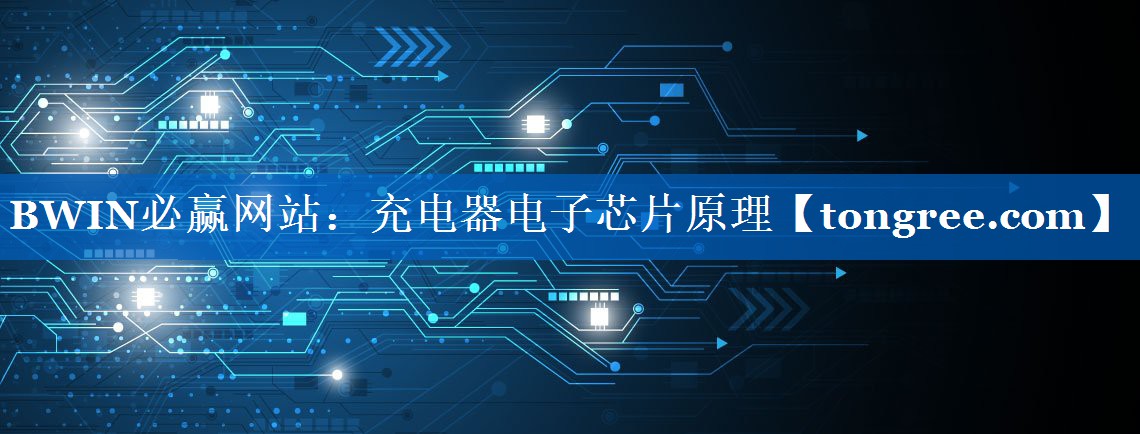 充电器电子芯片原理 充电器电子芯片原理