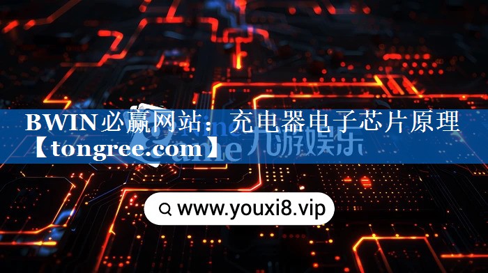 充电器电子芯片原理 充电器电子芯片原理