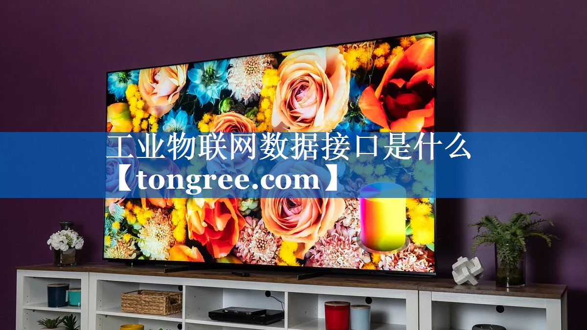 工业物联网数据接口是什么 工业物联网数据接口是什么