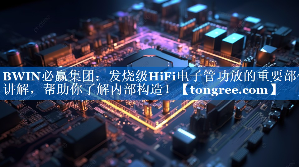 发烧级HiFi电子管功放的重要部件讲解,帮助你了解内部构造! 发烧级HiFi电子管功放的重要部件讲解,帮助你了解内部构造!
