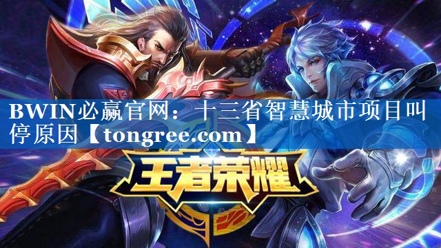 十三省智慧城市项目叫停原因 十三省智慧城市项目叫停原因