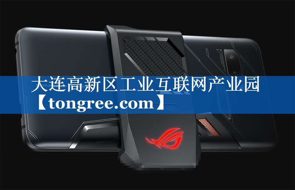 大连高新区工业互联网产业园 大连高新区工业互联网产业园