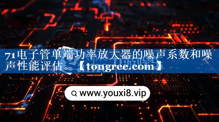 71电子管单端功率放大器的噪声系数和噪声性能评估。 71电子管单端功率放大器的噪声系数和噪声性能评估。
