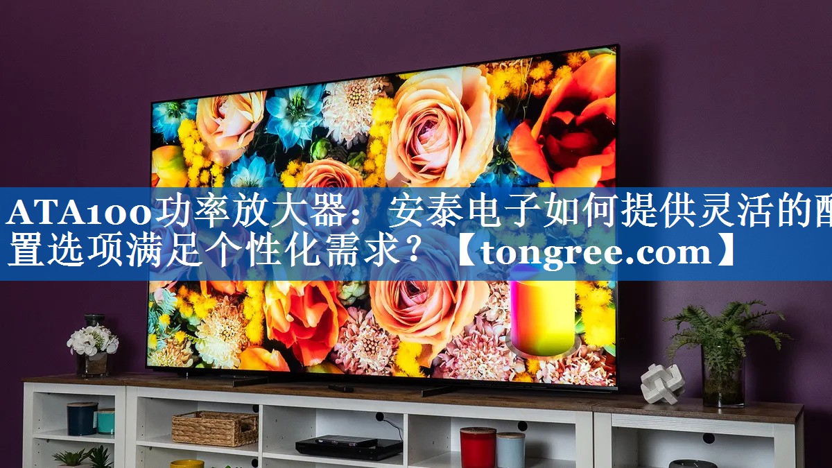 ATA100功率放大器:安泰电子如何提供灵活的配置选项满足个性化需求? ATA100功率放大器:安泰电子如何提供灵活的配置选项满足个性化需求?