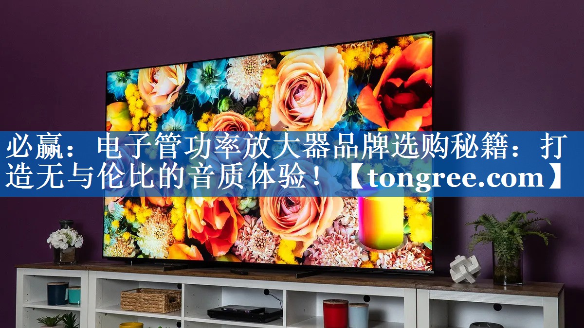 电子管功率放大器品牌选购秘籍:打造无与伦比的音质体验! 电子管功率放大器品牌选购秘籍:打造无与伦比的音质体验!