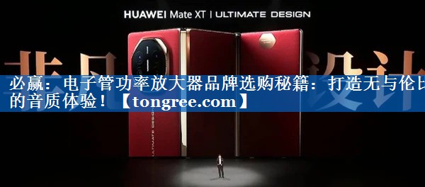 电子管功率放大器品牌选购秘籍:打造无与伦比的音质体验! 电子管功率放大器品牌选购秘籍:打造无与伦比的音质体验!