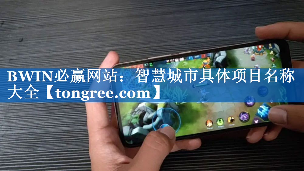 智慧城市具体项目名称大全 智慧城市具体项目名称大全