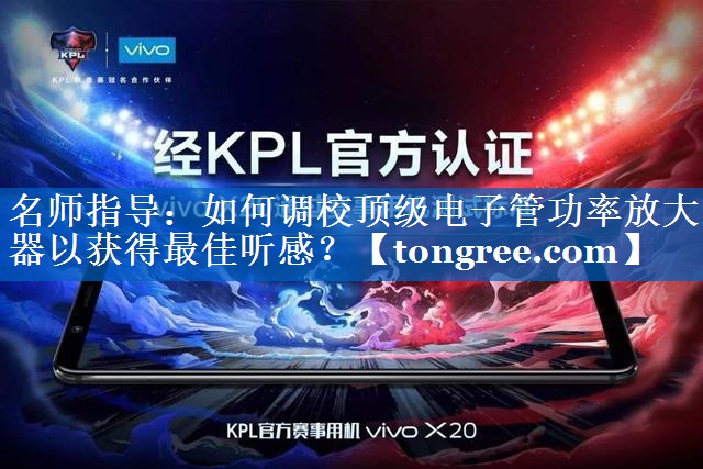 名师指导:如何调校顶级电子管功率放大器以获得最佳听感? 名师指导:如何调校顶级电子管功率放大器以获得最佳听感?