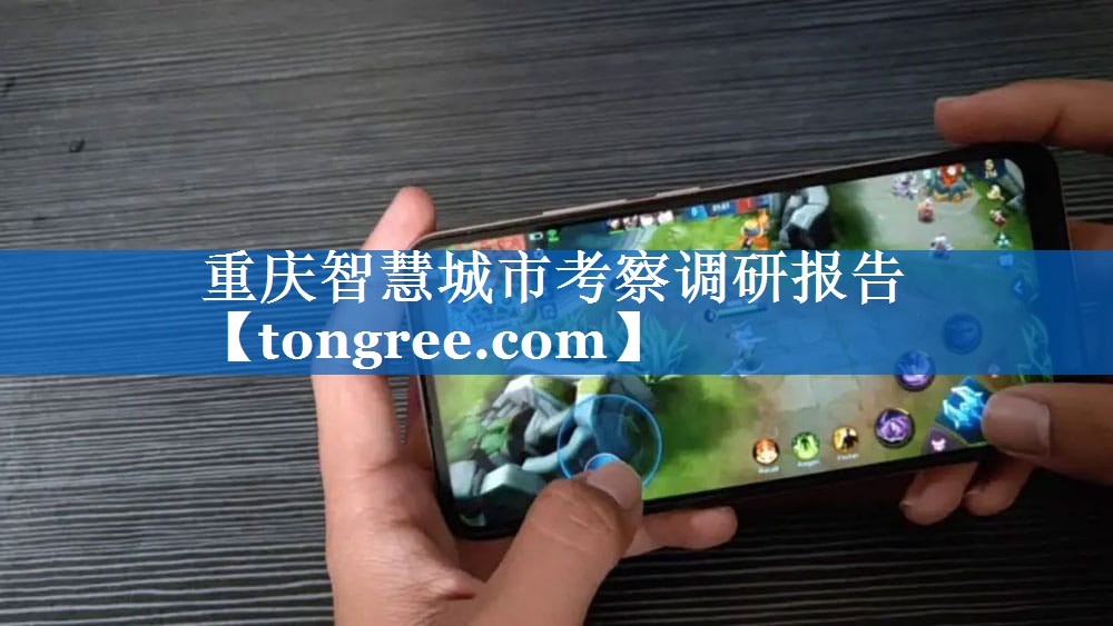 重庆智慧城市考察调研报告 重庆智慧城市考察调研报告