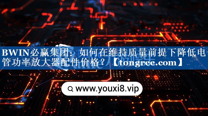 如何在维持质量前提下降低电子管功率放大器配件价格？