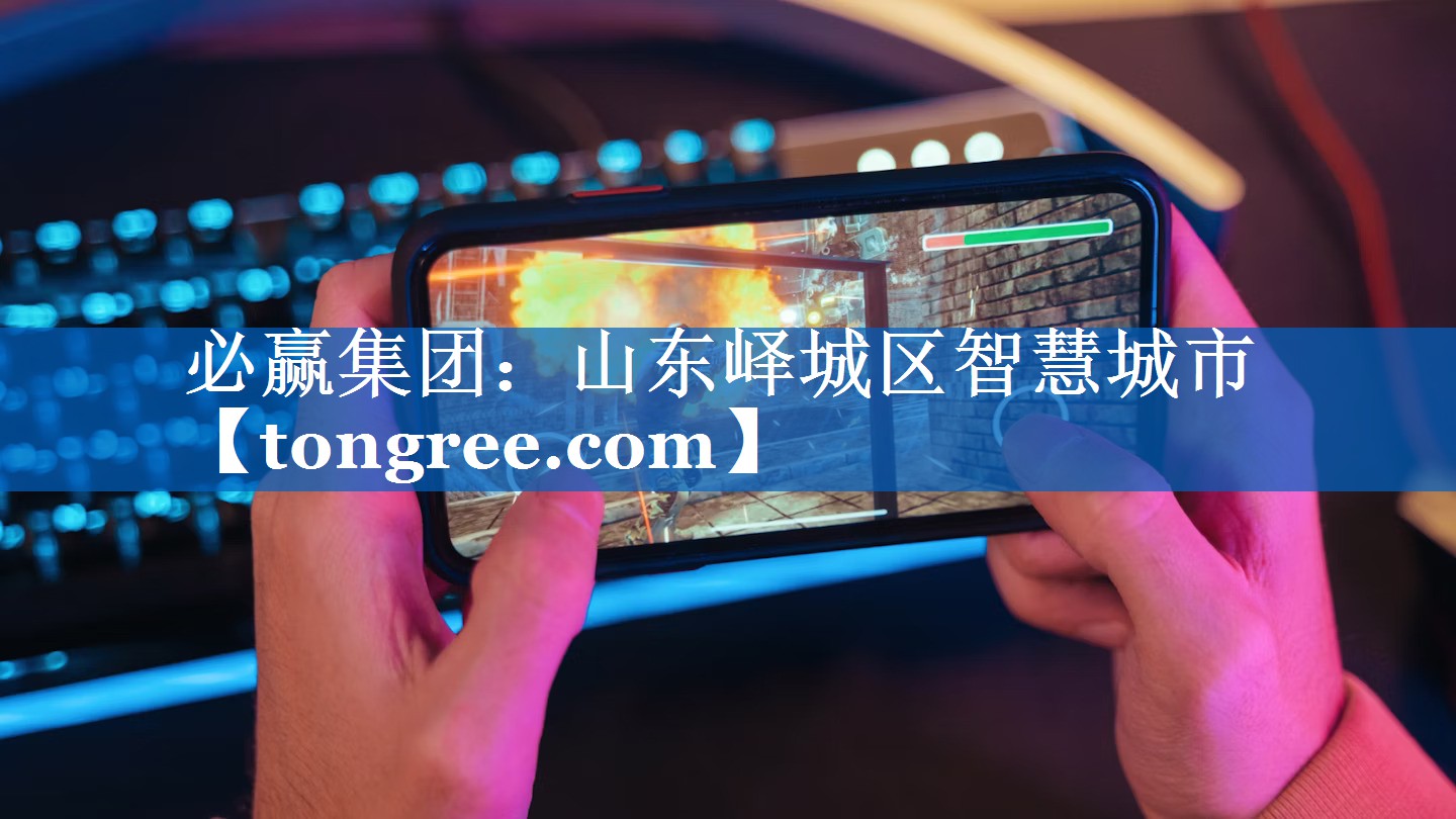 山东峄城区智慧城市