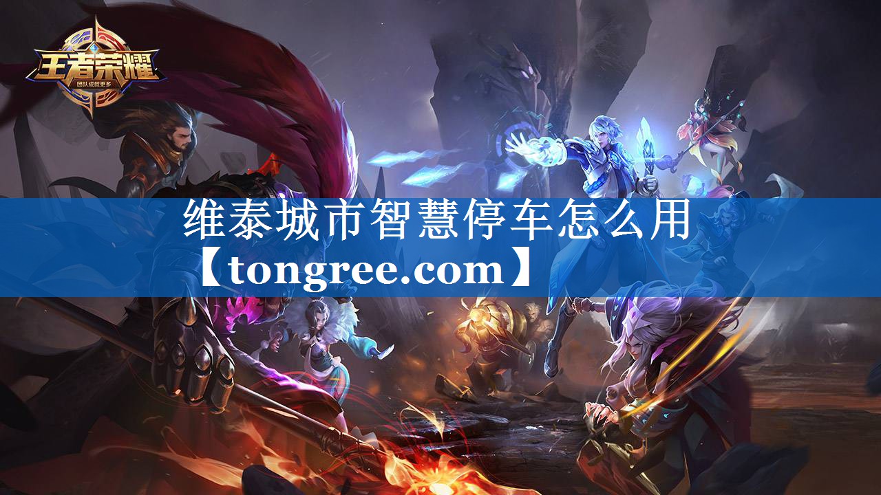 维泰城市智慧停车怎么用