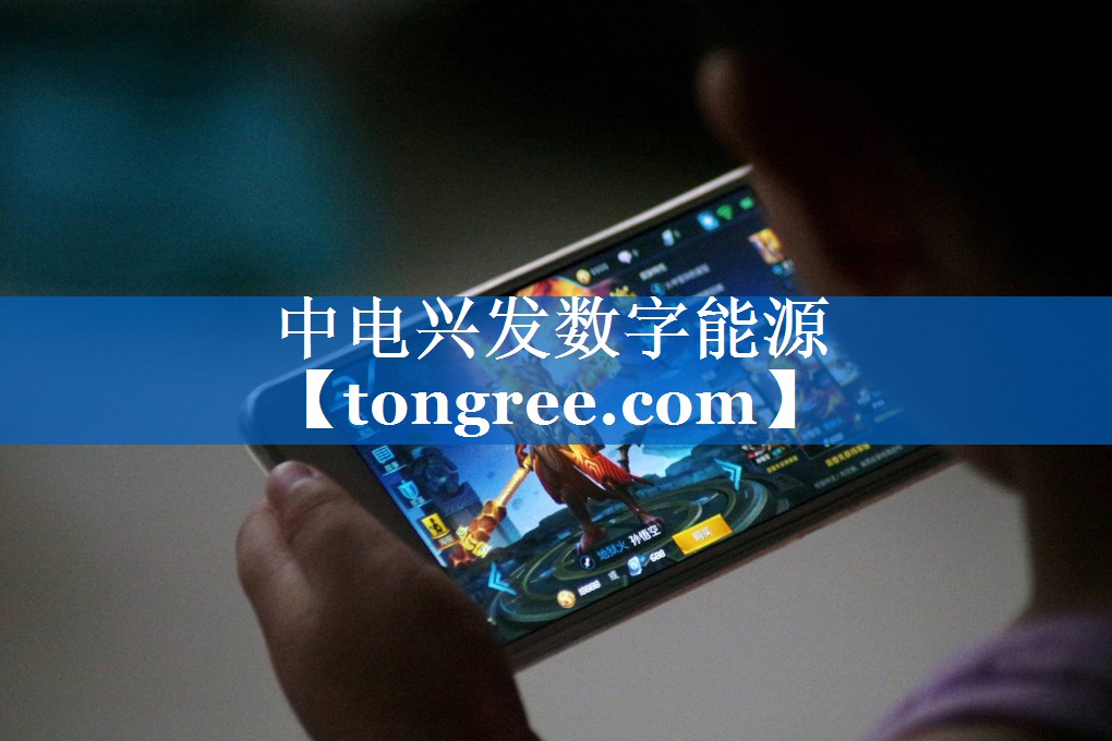 中电兴发数字能源 中电兴发数字能源
