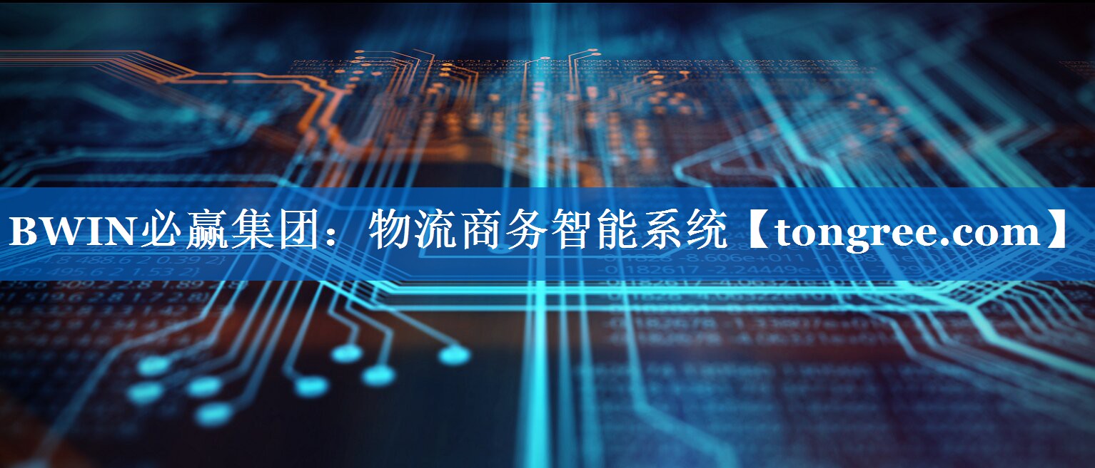 物流商务智能系统