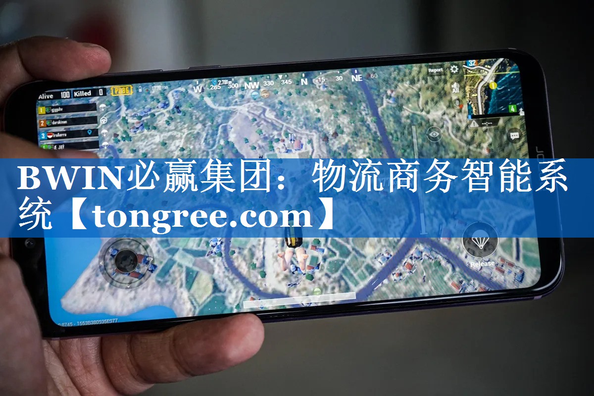 物流商务智能系统