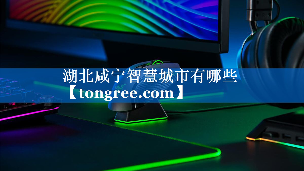 湖北咸宁智慧城市有哪些