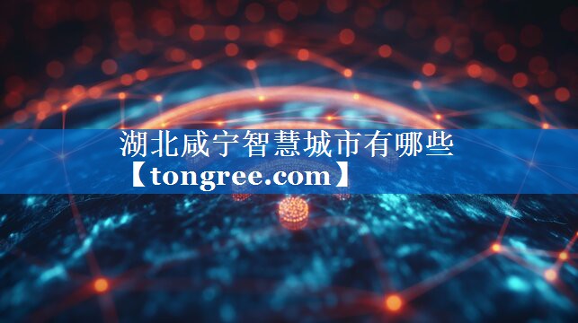 湖北咸宁智慧城市有哪些