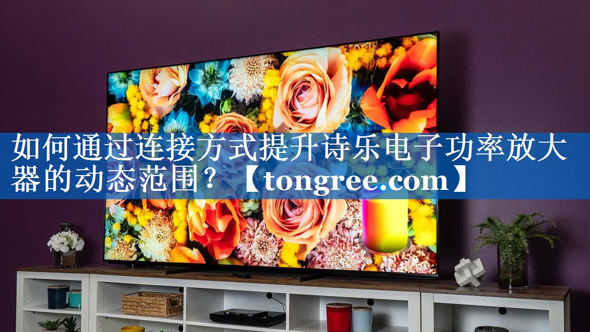 如何通过连接方式提升诗乐电子功率放大器的动态范围? 如何通过连接方式提升诗乐电子功率放大器的动态范围?