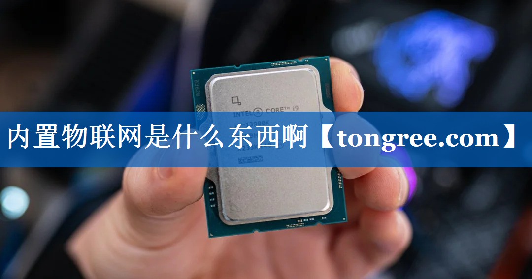 内置物联网是什么东西啊