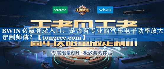 是否有专业的汽车电子功率放大器定制师傅? 是否有专业的汽车电子功率放大器定制师傅?